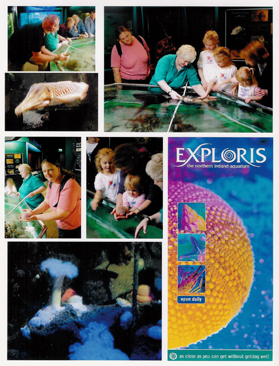 Exploris Aquarium