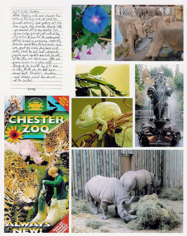 Chester Zoo
