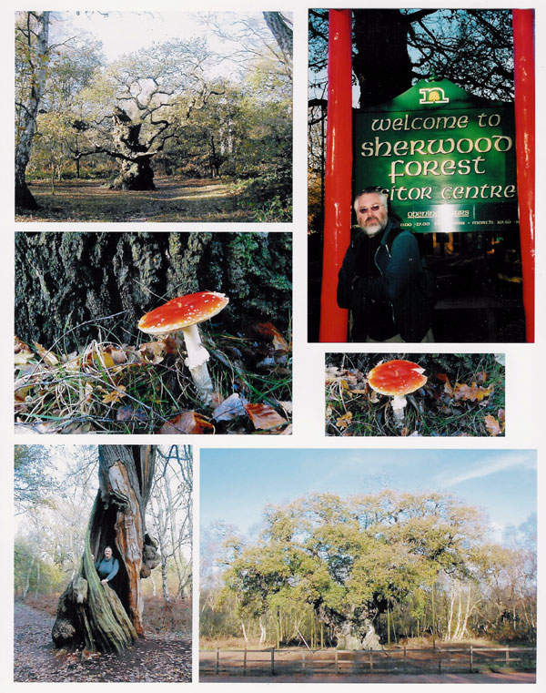 Sherwood Forest