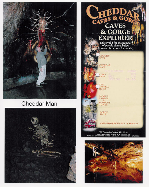 Cheddar Caves