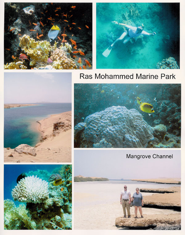 Ras Mohammed Marine Park