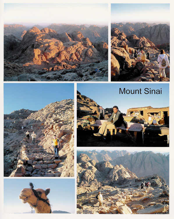Mount Sinai