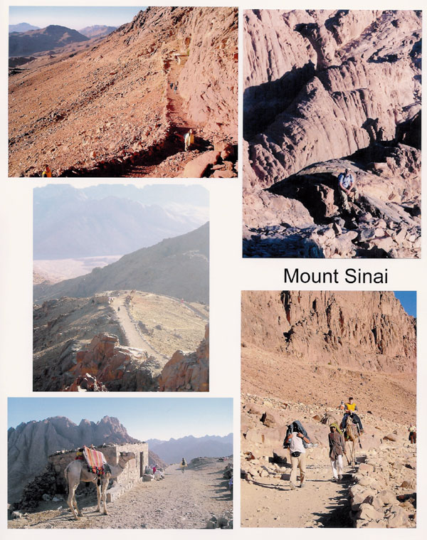 Mount Sinai