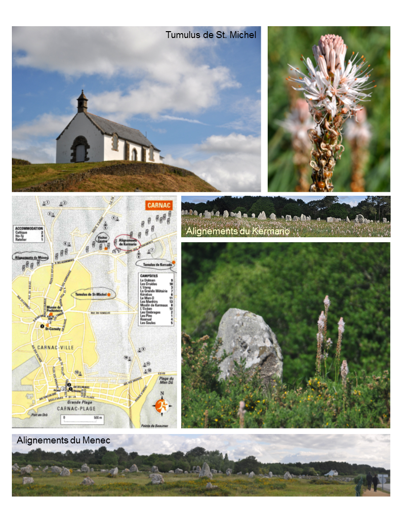 Carnac Stone Alignments