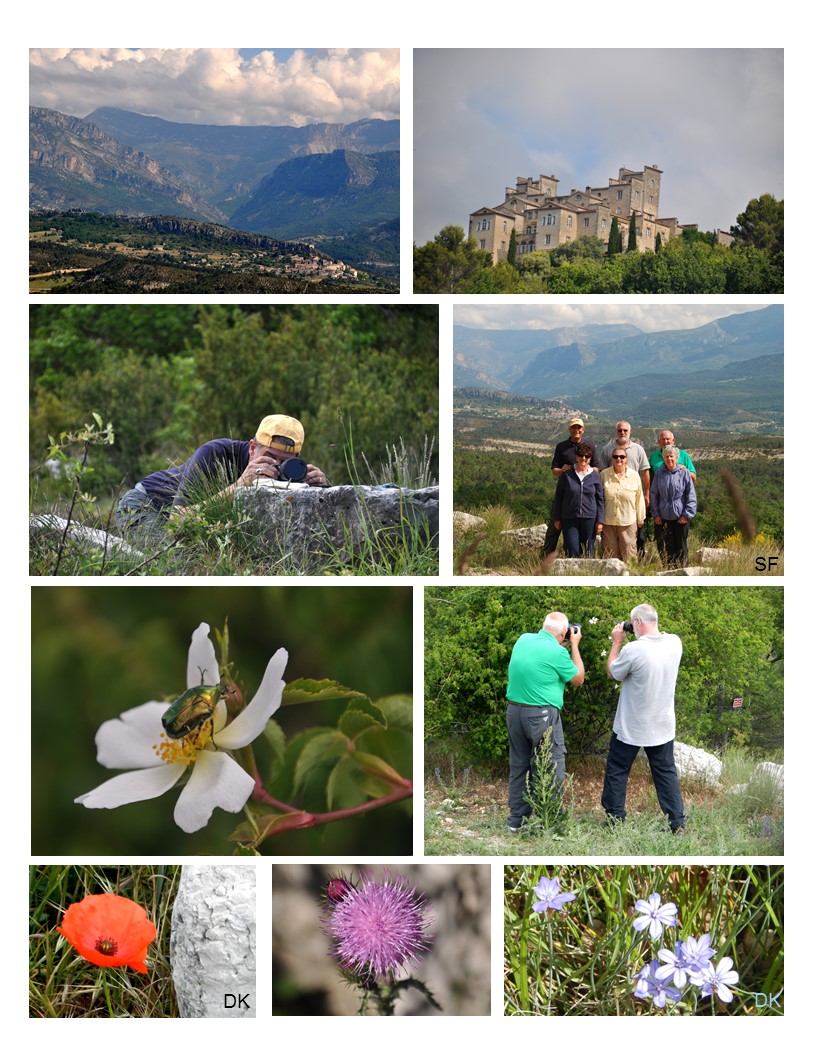 Road to Verdon Gorges