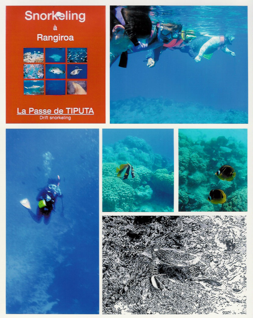 Snorkling Tiputa Pass, Rangiroa