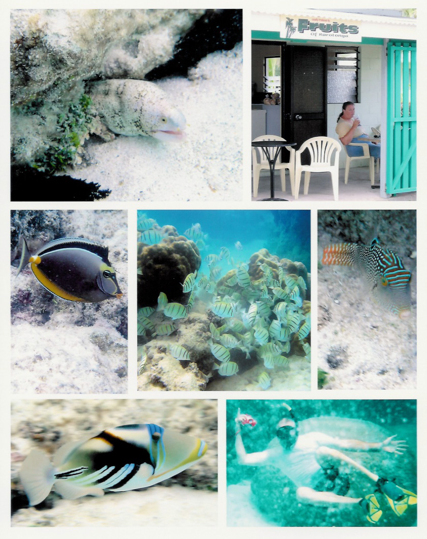 Snorkling around Rarotonga