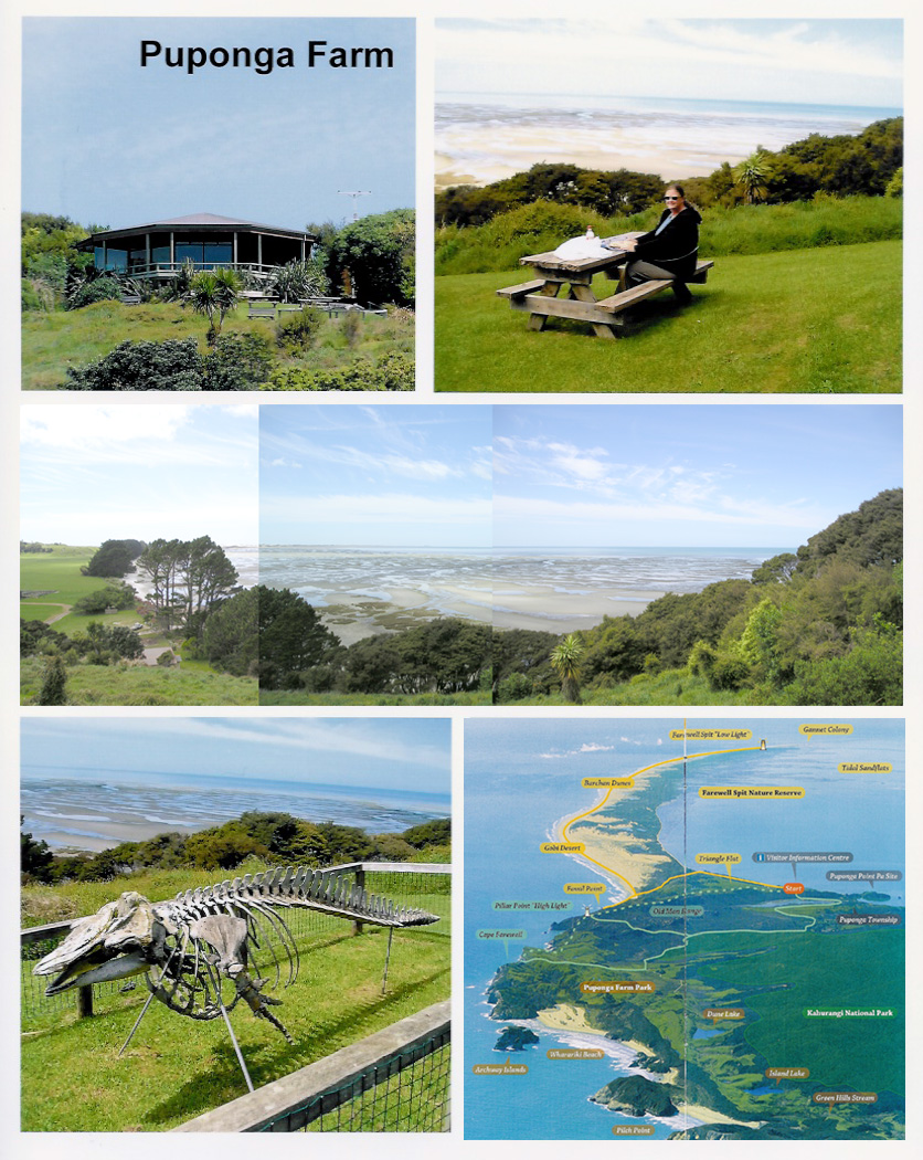 Puponga Farm