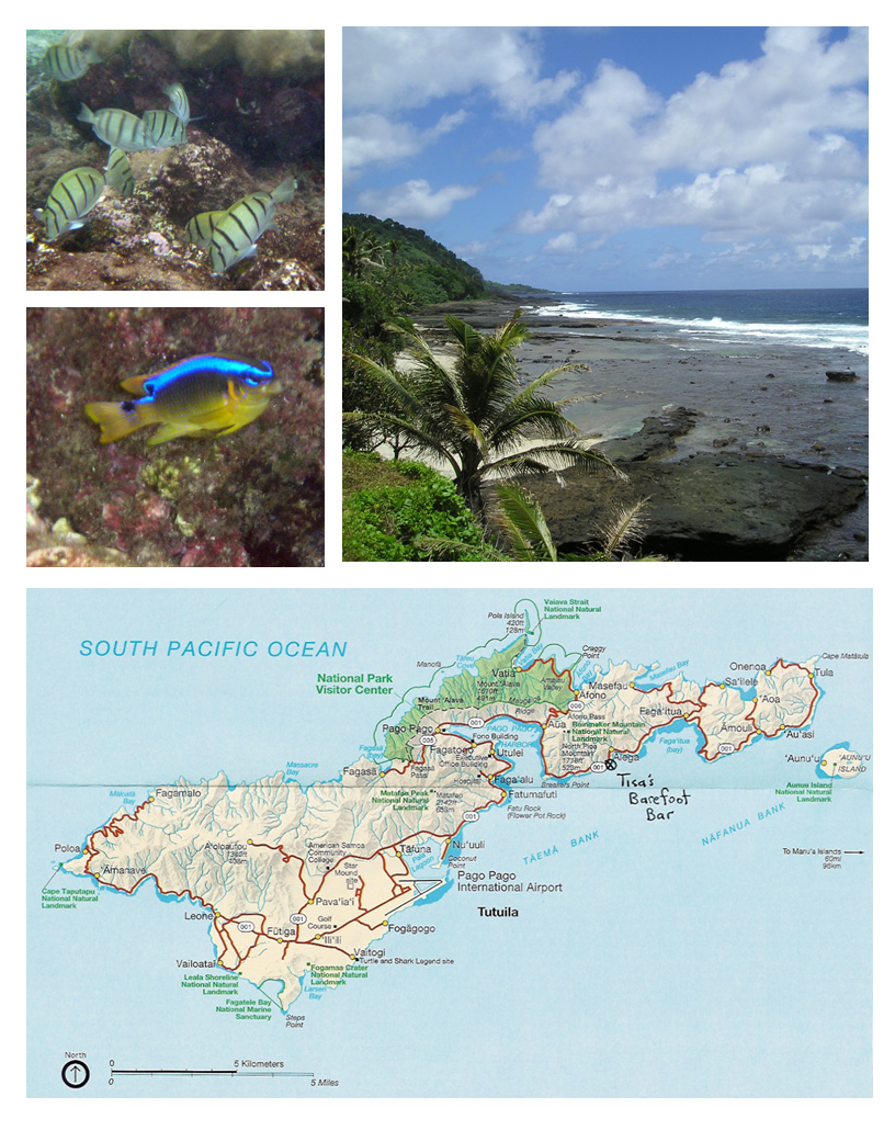 Snorkling Tisa's Marine Reserve, American Samoa