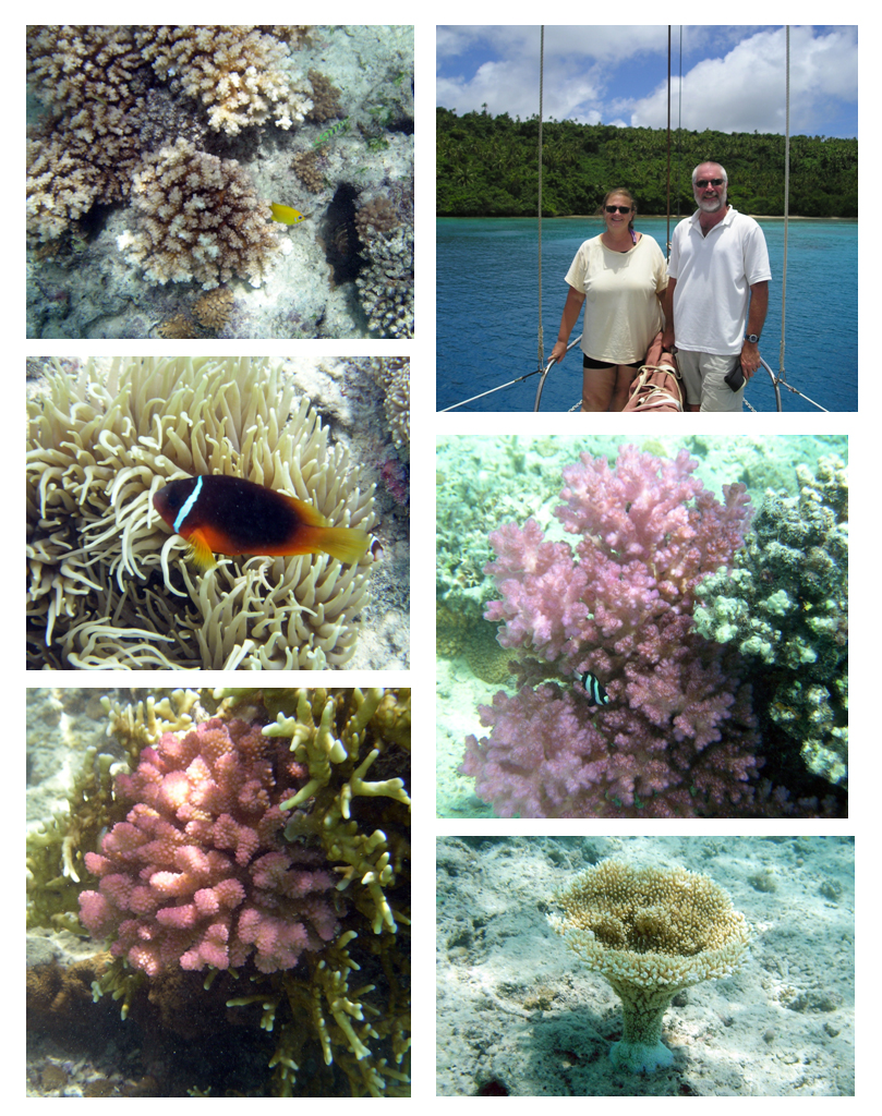 Snorkling Port Mourelle, Vava'u Tonga