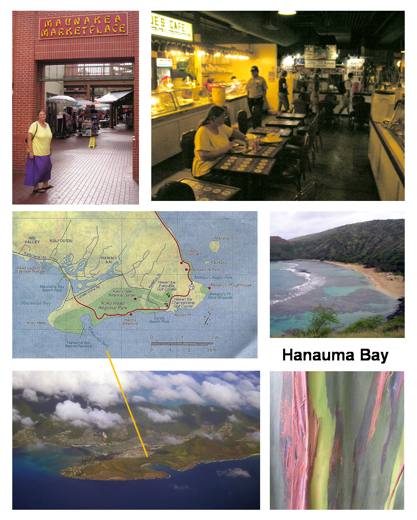 China Town and Hanauma Bay, Oahu Island Hawaii