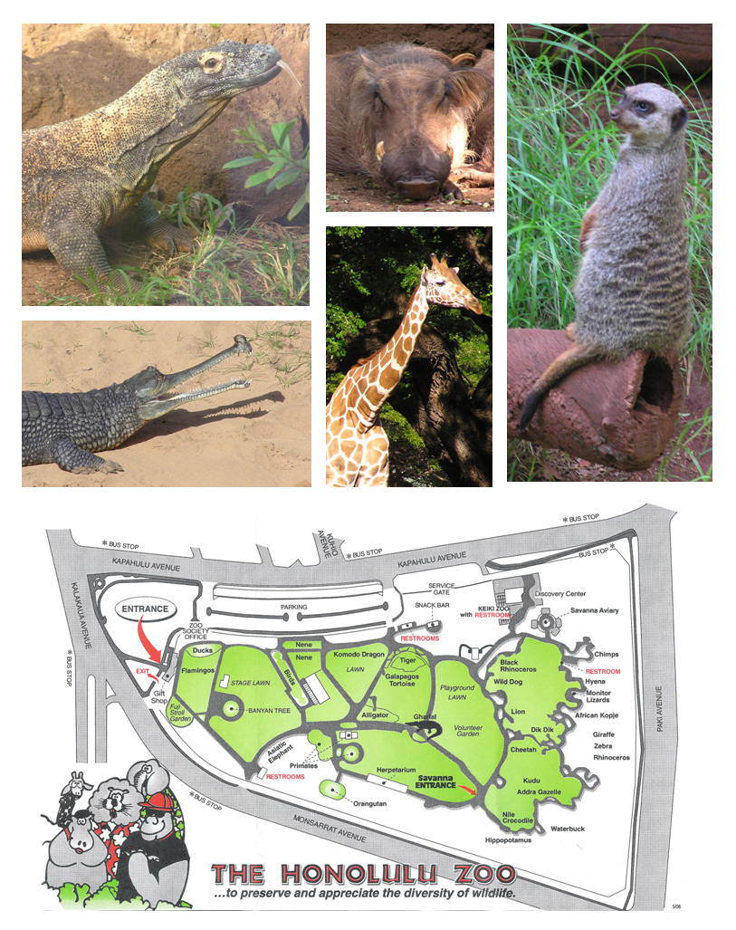 Honolulu Zoo, Oahu Island Hawaii