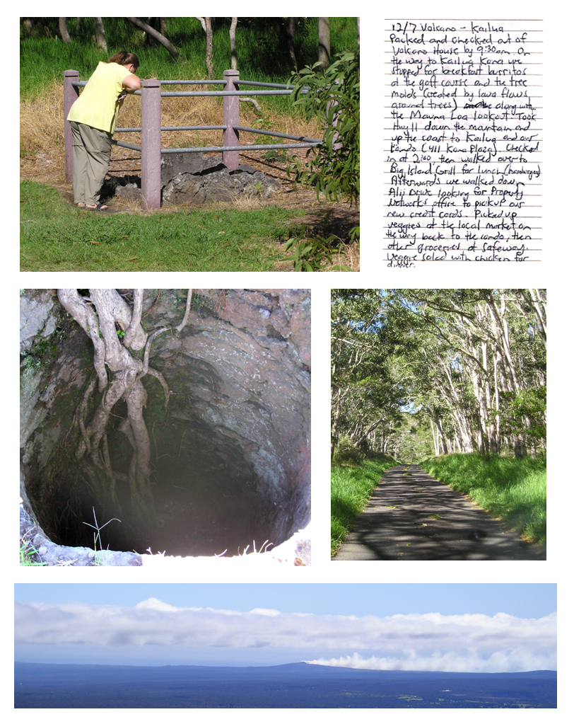 Tree Molds and Mauna Loa Lookout