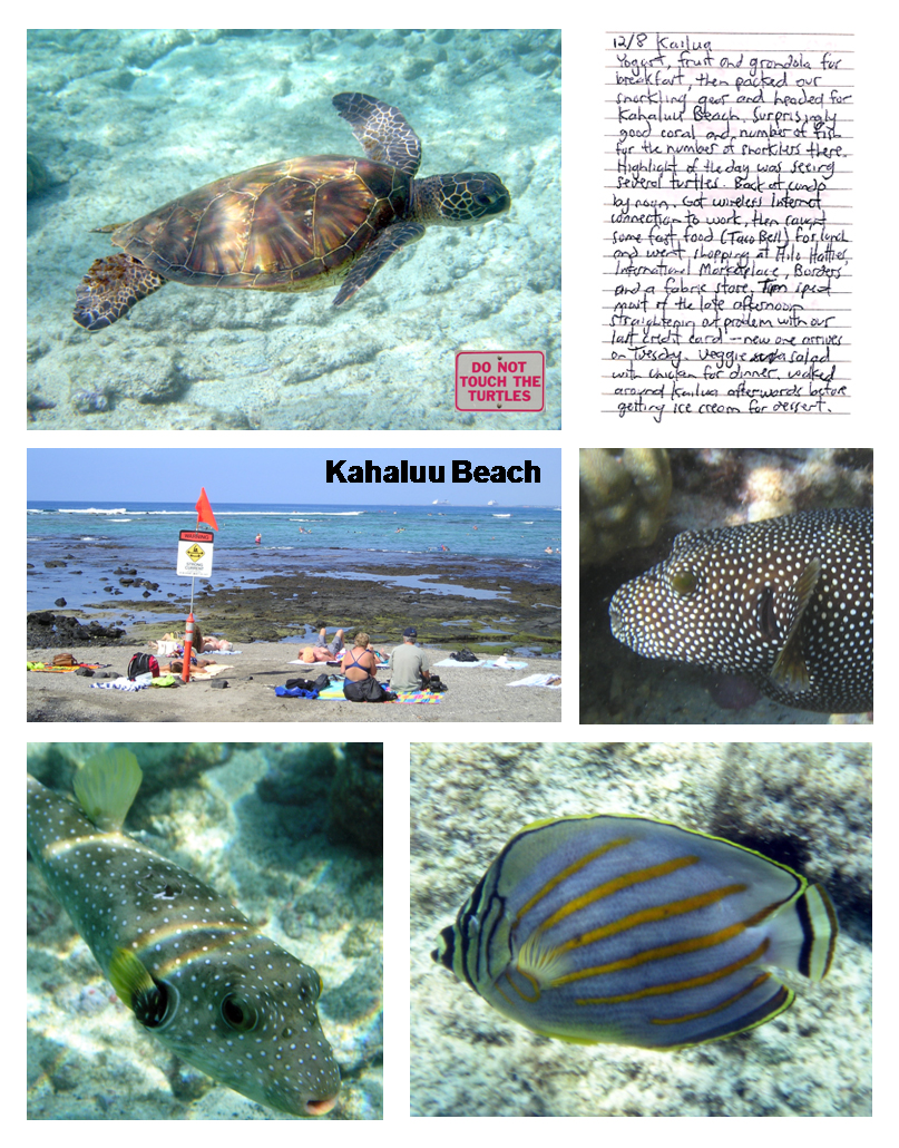 Kahaluu Beach, Kailua-Kona, Hawaii