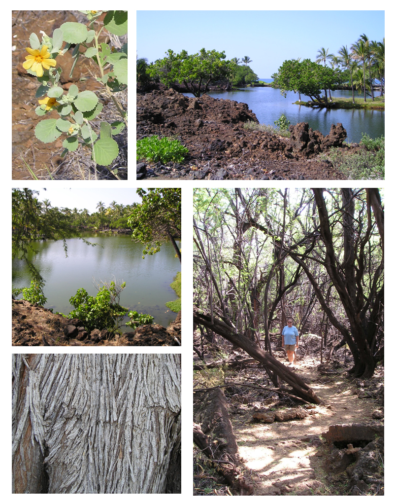 Kalahuipua'a Trail and Fish Ponds, Kailua-Kona, Hawaii