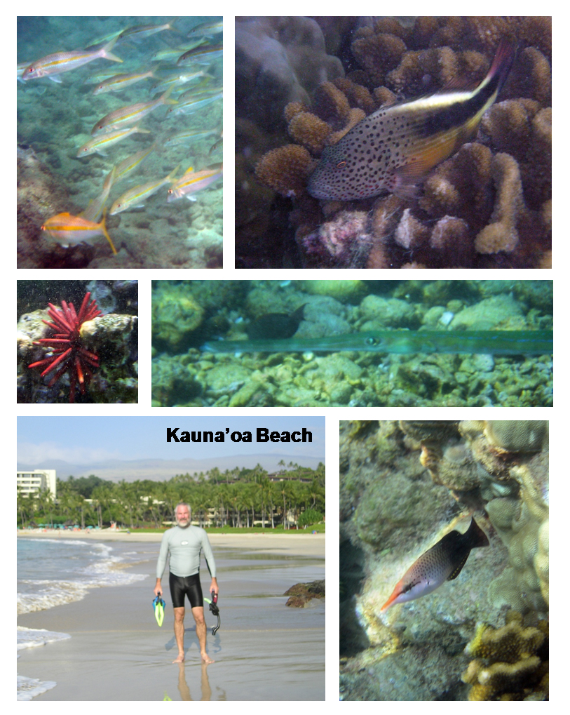 Kauna'oa Beach, Kailua-Kona, Hawaii