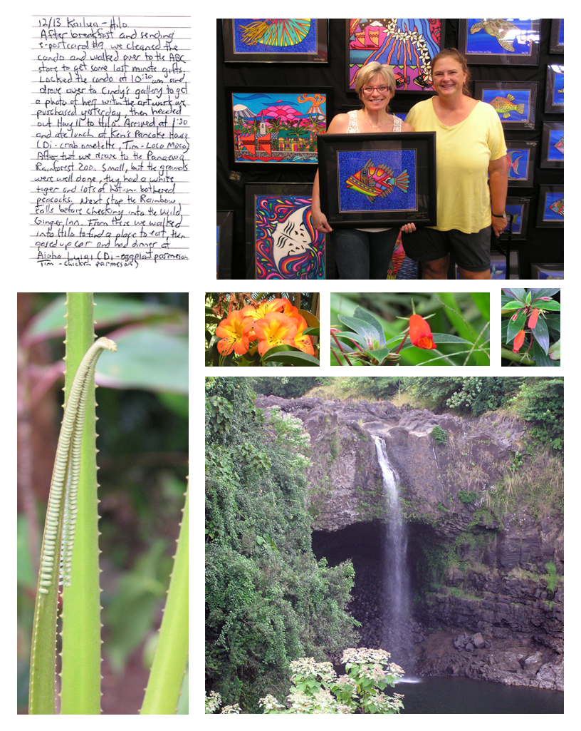 Rainbow Falls, Hilo Hawaii