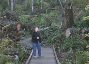 Quinault Loop Trail