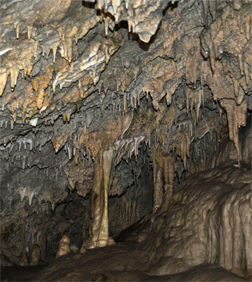 Oregon Caves