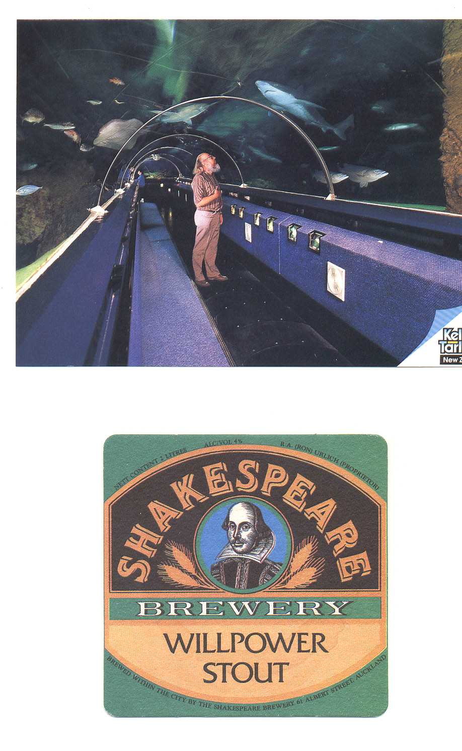 Auckland New Zealand