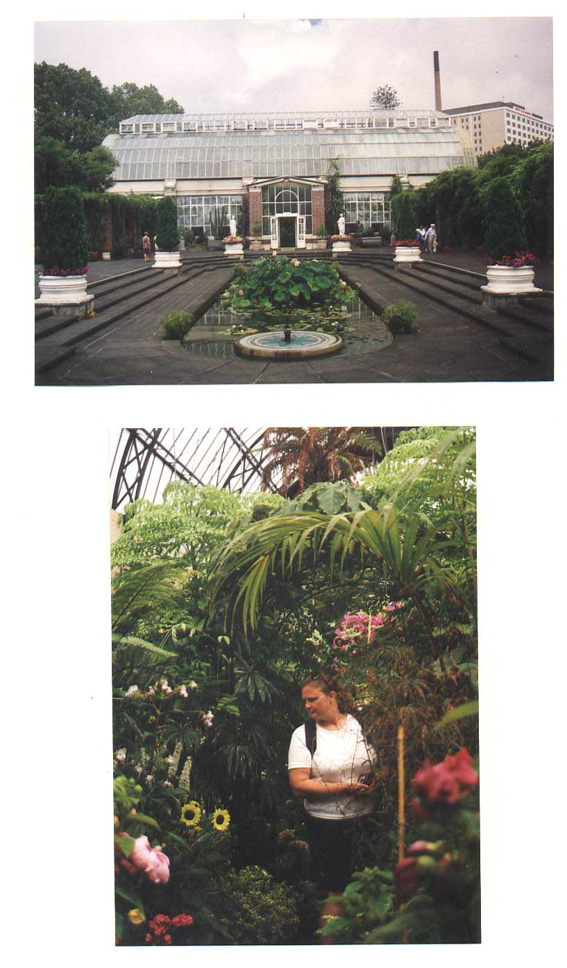 Auckland New Zealand