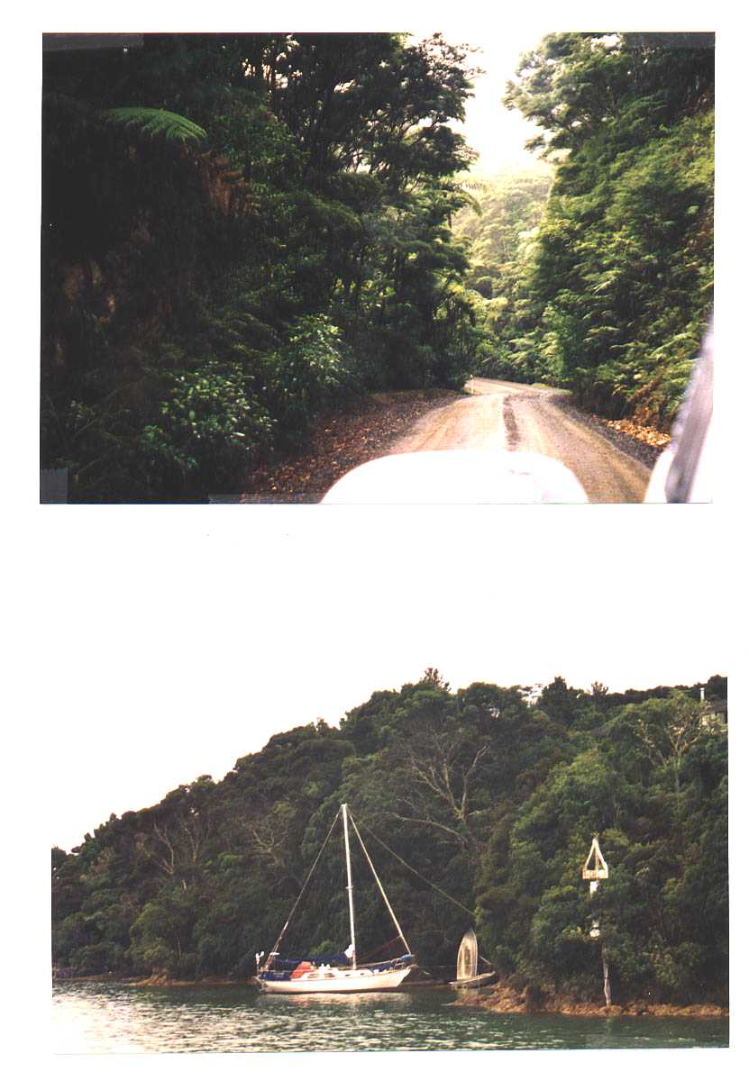 Whangarei New Zealand