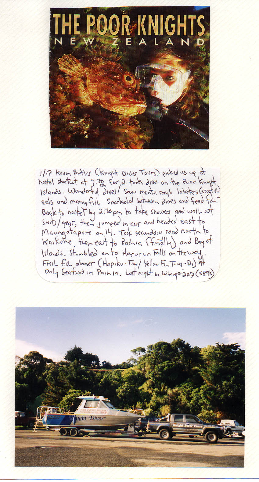 Poor Knights Islands New Zealand