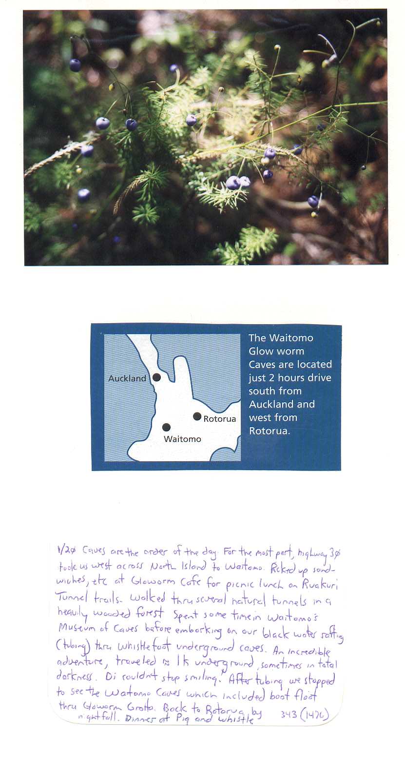 Waitomo  New Zealand