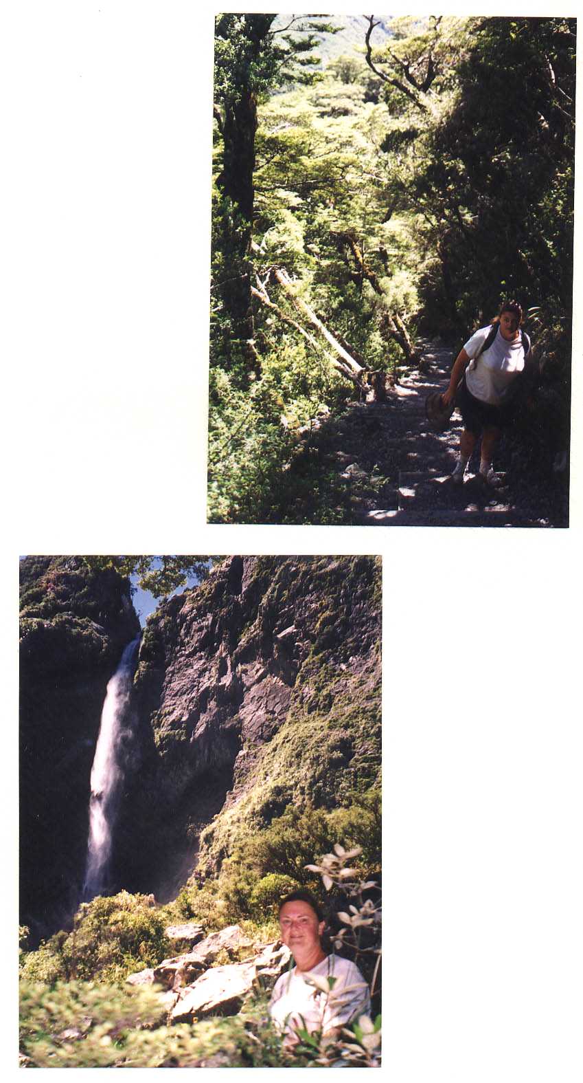 Arthur's Pass New Zealand