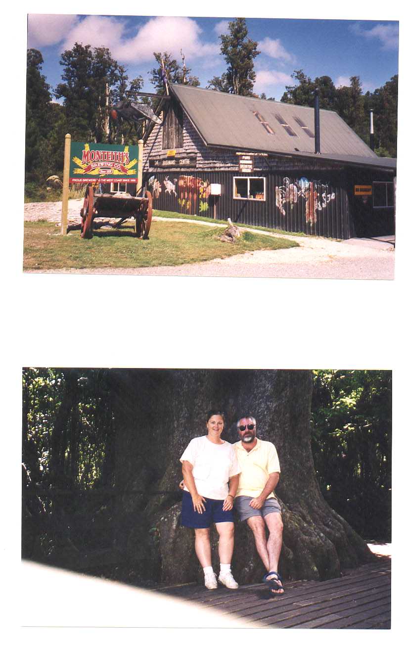Road to Franz Josef Glacier New Zealand