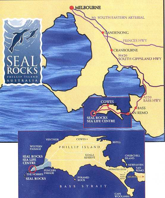 Phillip Island Australia