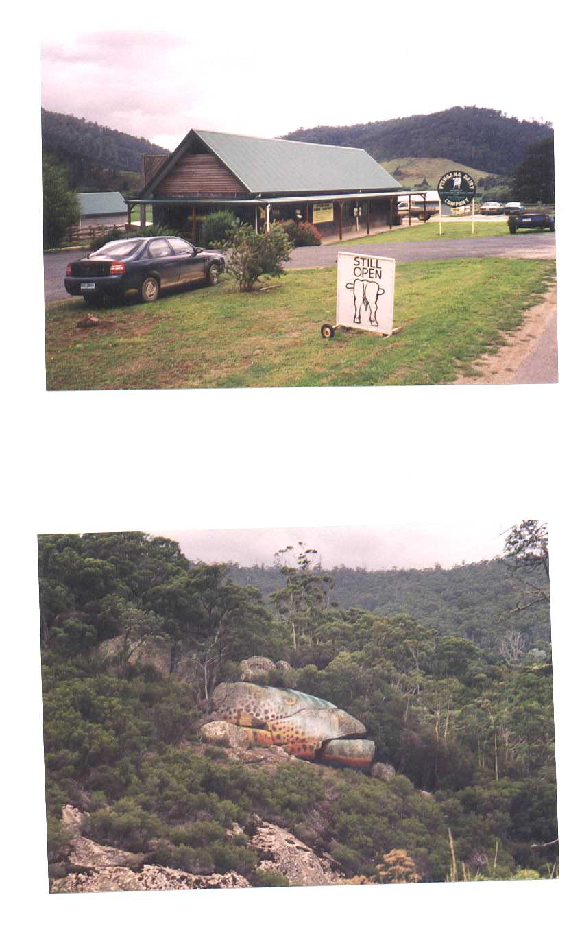 Road to Devonport Australia