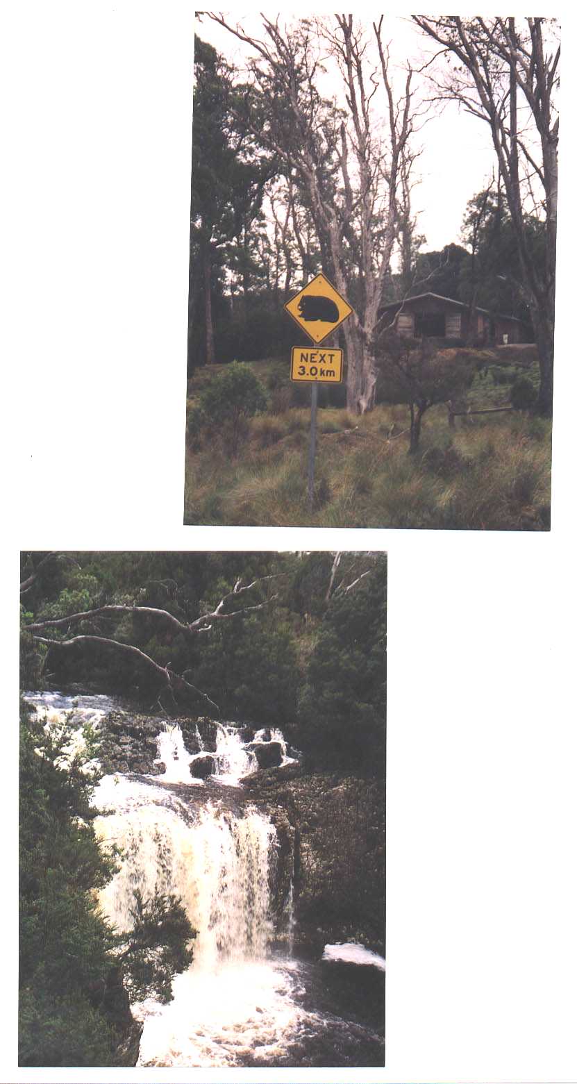 Road to Cradle Mountain Australia