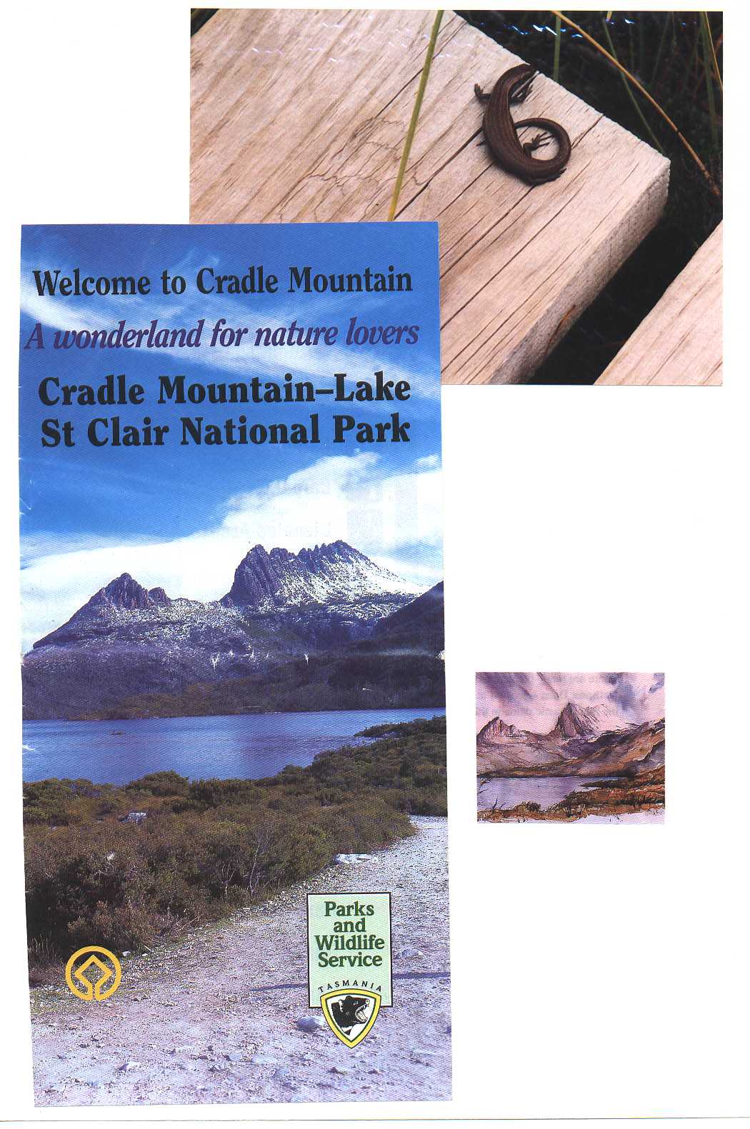 Cradle Mountain National Park Tasmania Australia