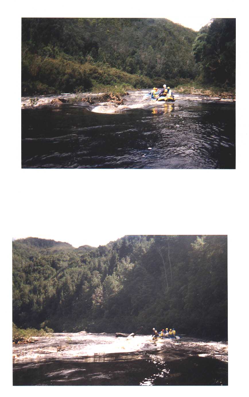 Franklin River Tasmania Australia