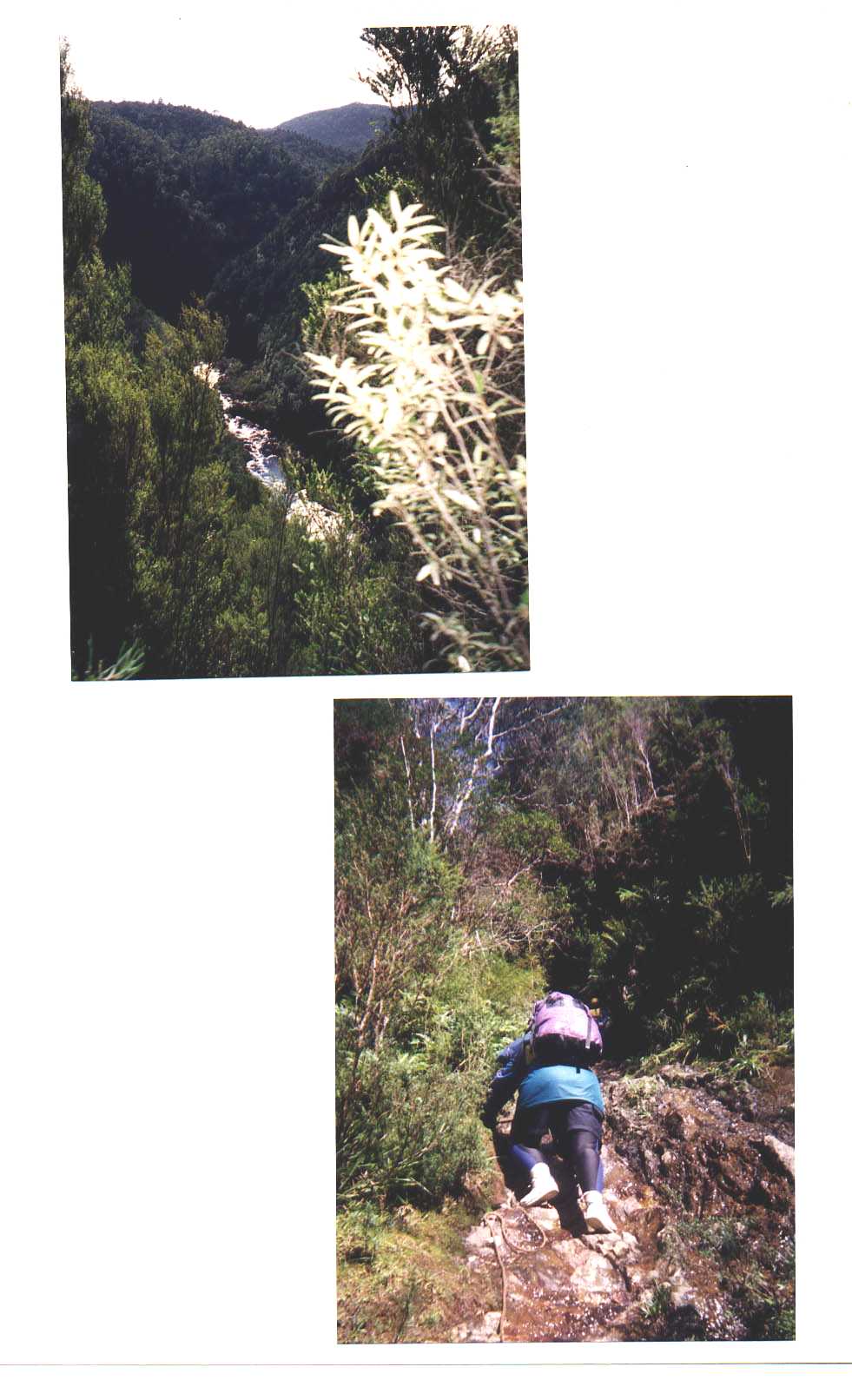 Franklin River Tasmania Australia