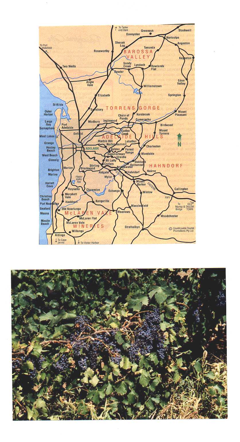 Barossa Valley Australia