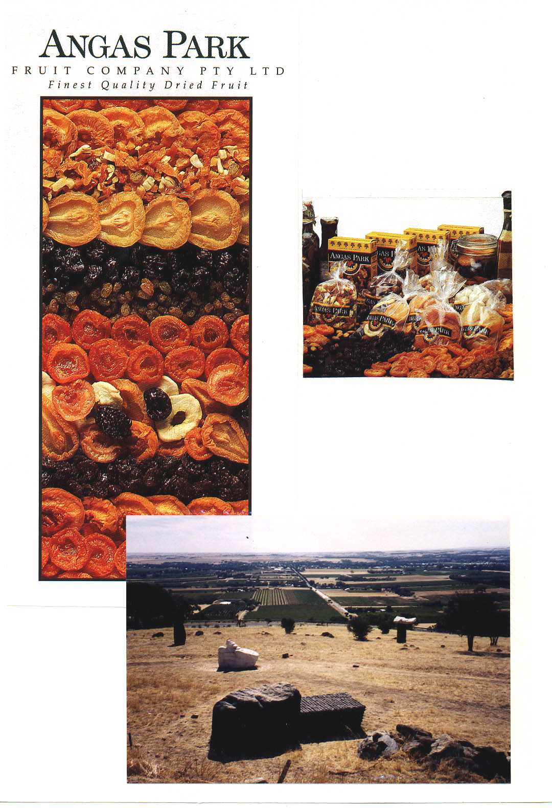 Barossa Valley Australia
