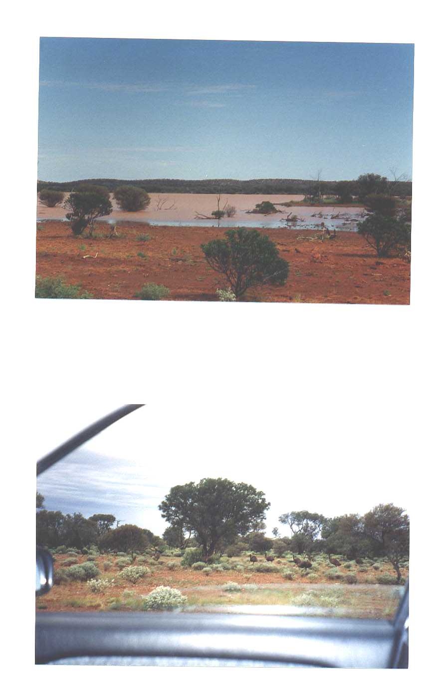 Road to Newman Australia