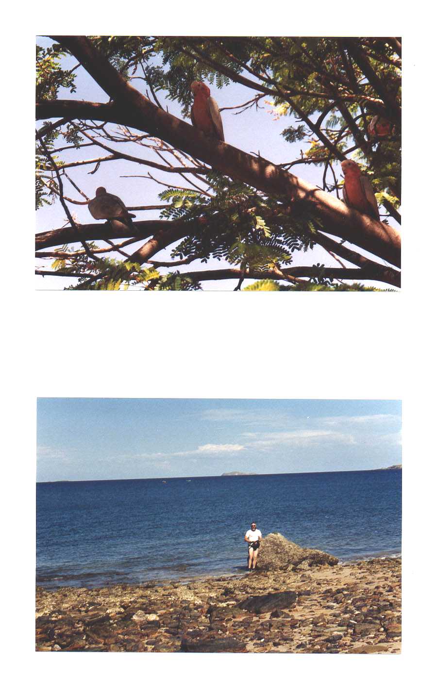 Point Samson Penninsula Australia