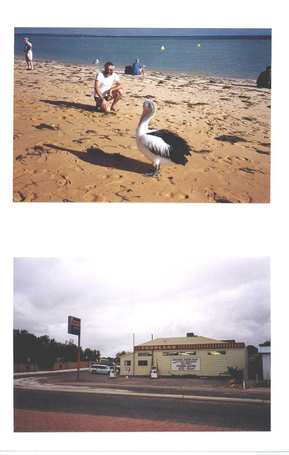 Monkey Mia Australia