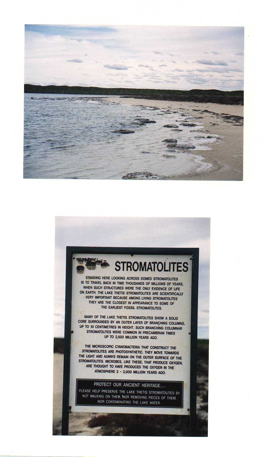 Cervantes Australia