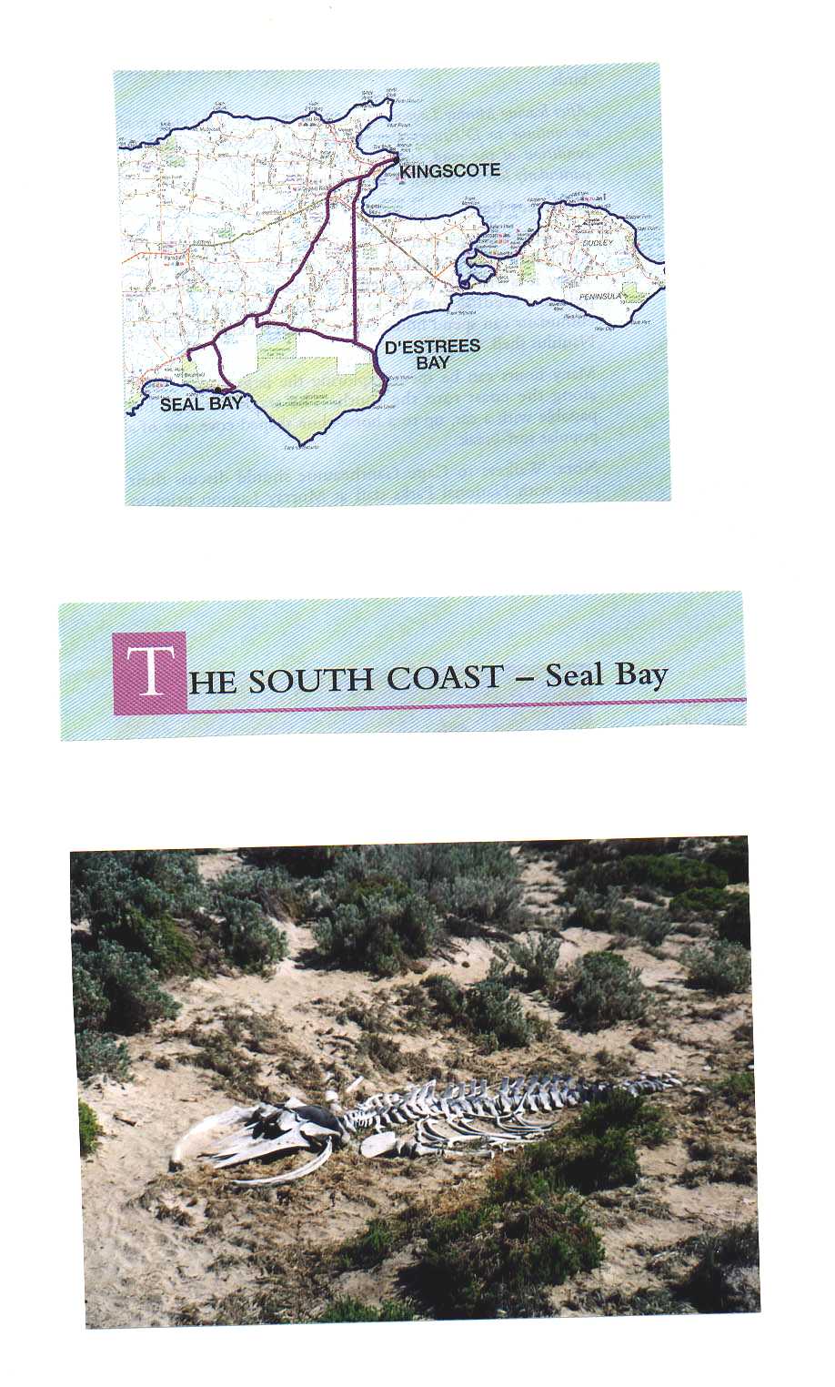 Kangaroo Island Australia