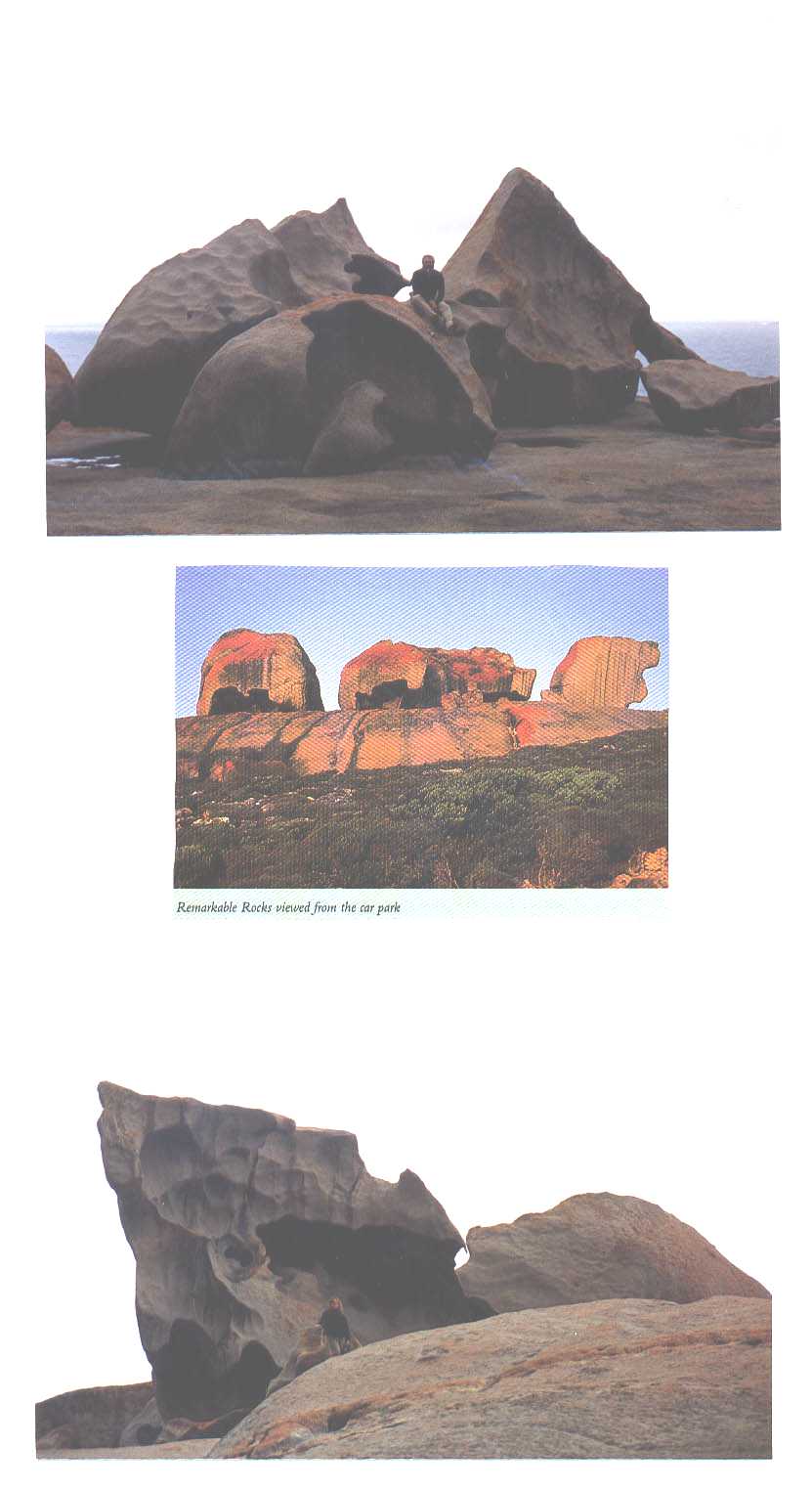 Kangaroo Island Australia