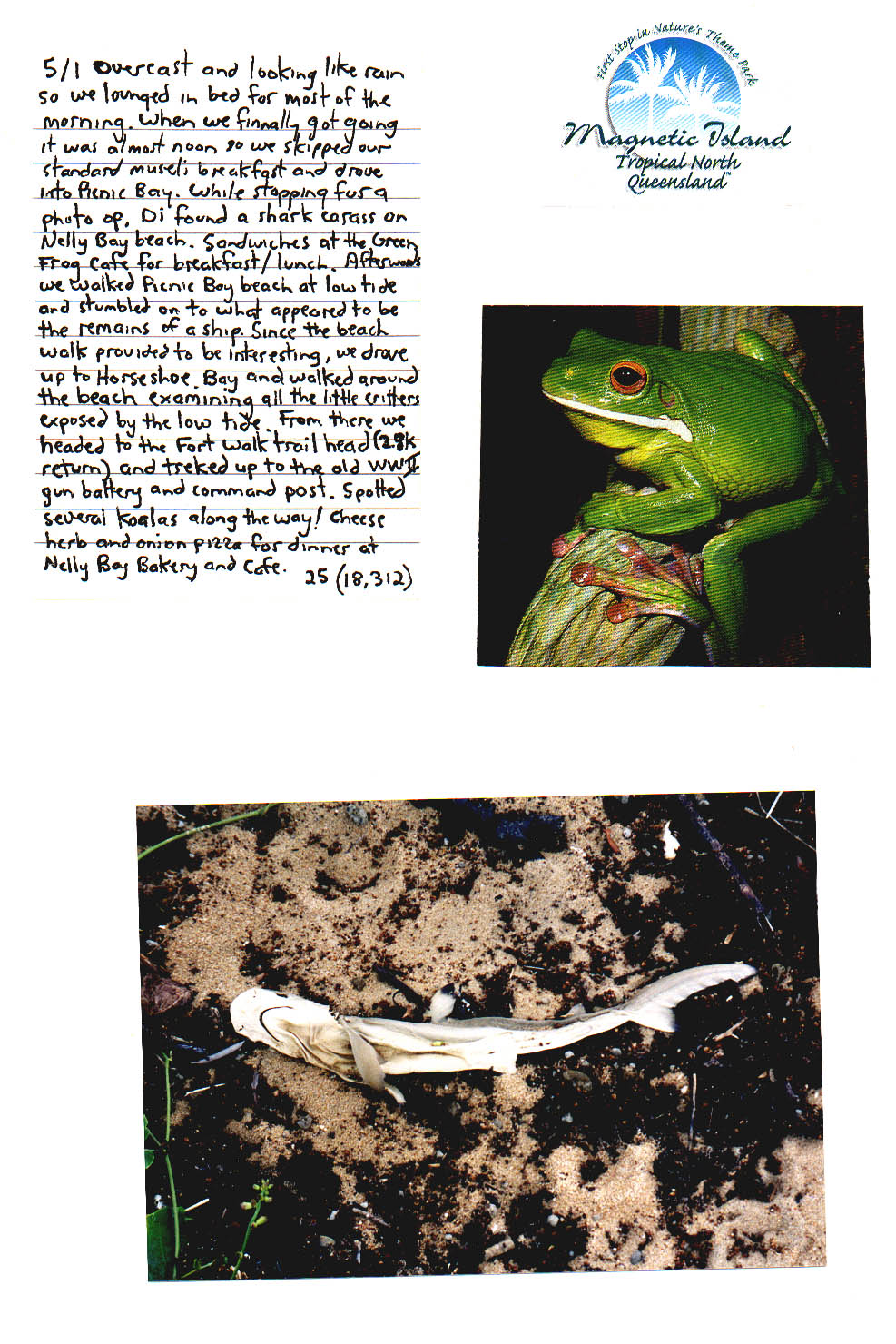 Magnetic Island Queensland Australia