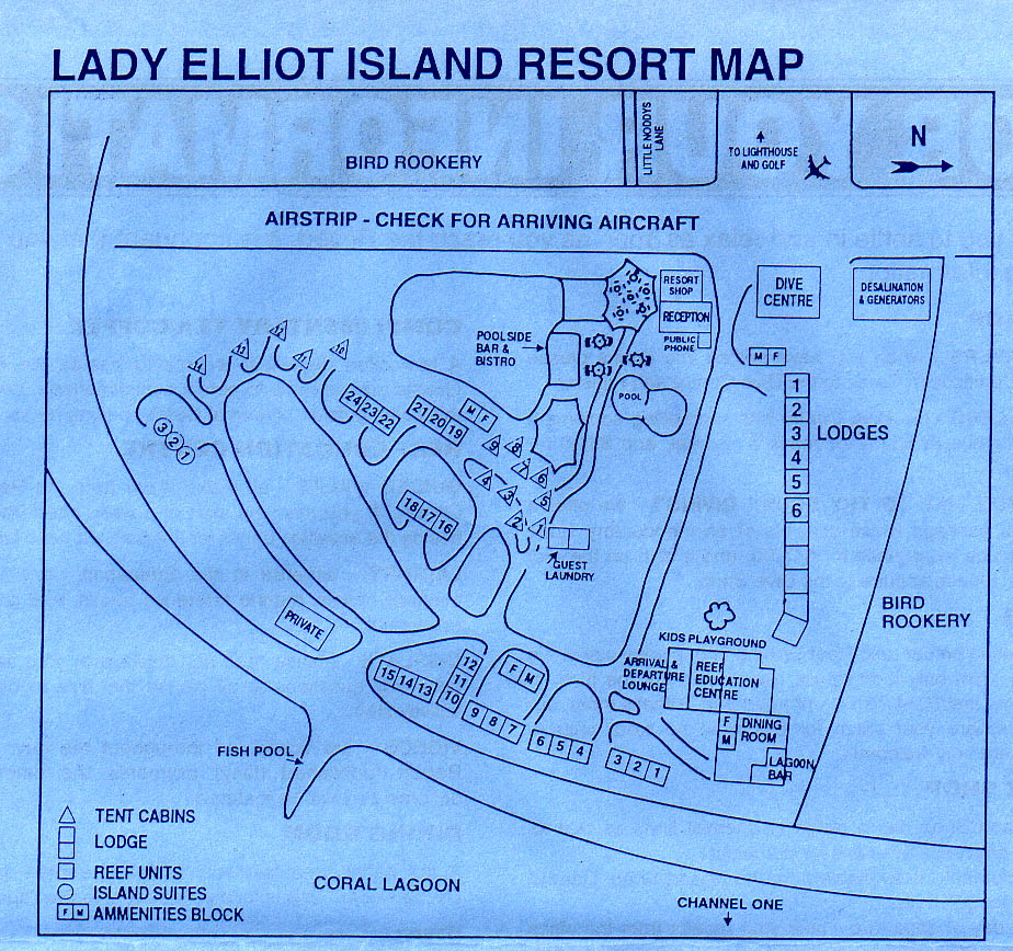 Lady Elliot Island Queensland Australia