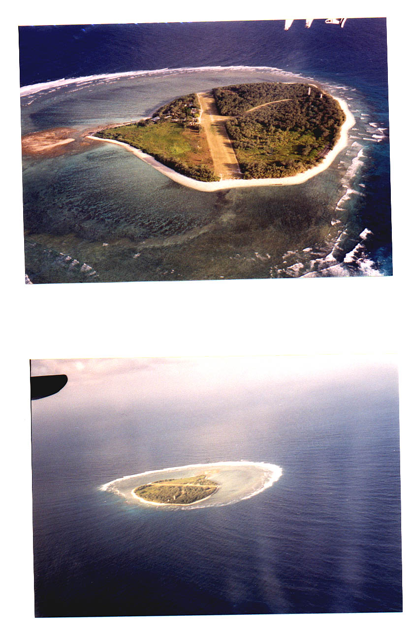 Lady Elliot Island Queensland Australia