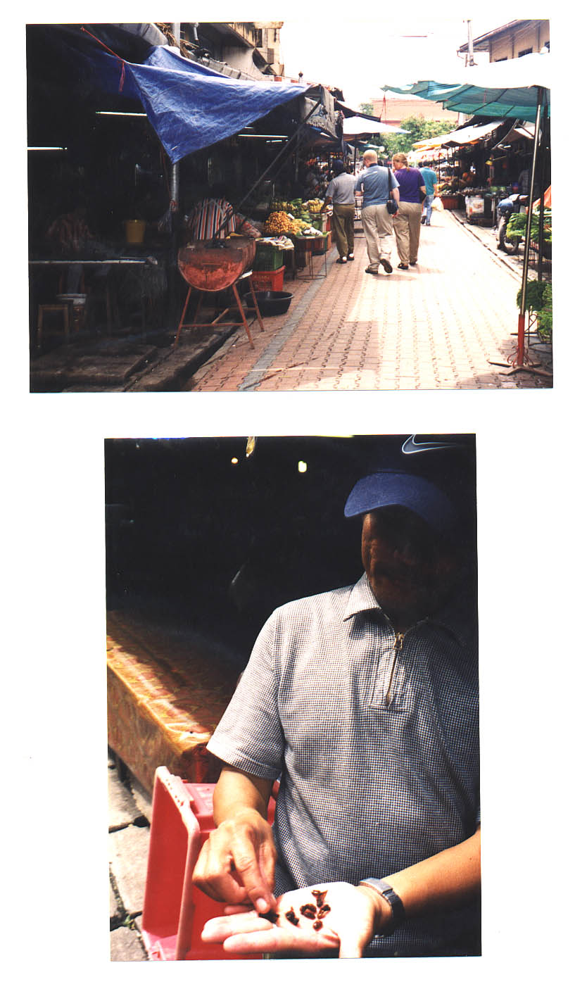 Thai Kitchen Cookery School Chiang Mai Thailand