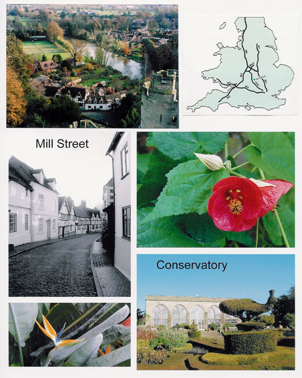 Mill Street & Conservatory