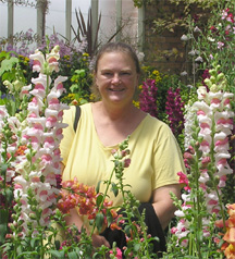Auckland  Winter Gardens